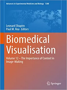 Biomedical Visualisation: Volume 12