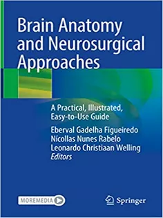 Brain Anatomy and Neurosurgical Approaches