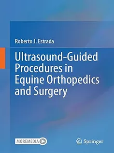 Ultrasound-Guided Procedures in Equine Orthopedics and Surgery