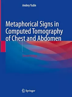 9783031244933 Metaphorical Signs in Computed Tomography of Chest and Abdomen