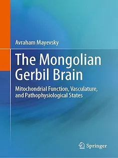 The Mongolian Gerbil Brain: Mitochondrial Function, Vasculature, and Pathophysiological States