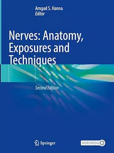Nerves: Anatomy, Exposures, and Techniques