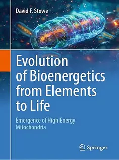 Evolution of Bioenergetics from Elements to Life: Emergence of High Energy Mitochondria