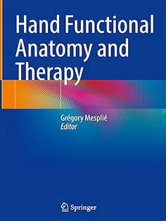 Hand Functional Anatomy and Therapy