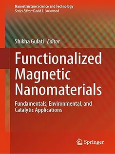 Functionalized Magnetic Nanomaterials