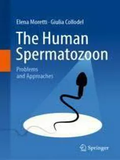 The Human Spermatozoon: Structure and Motility