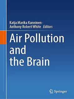 Air Pollution and the Brain