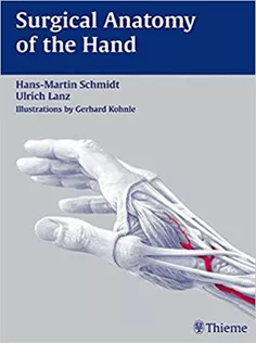 Surgical Anatomy of the Hand