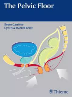 The Pelvic Floor
