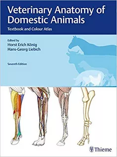 Veterinary Anatomy of Domestic Animals