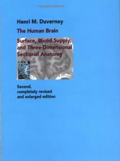 The Human Brain