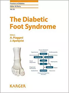 The Diabetic Foot Syndrome (Frontiers in Diabetes, Vol. 26)