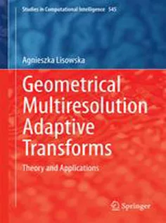 Geometrical Multiresolution Adaptive Transforms: Theory and Applications