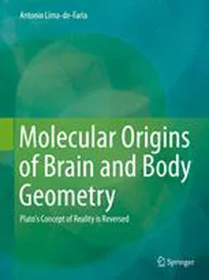 9783319060552 Molecular Origins of Brain and Body Geometry: Plato's Concept of Reality Is Reversed