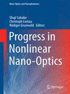 Progress in Nonlinear Nano-Optics