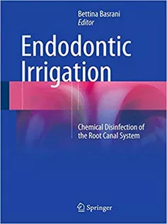 Endodontic Irrigation: Chemical Disinfection of the Root Canal System