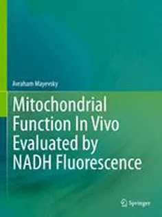 Mitochondrial Function In Vivo Evaluated by NADH Fluorescence