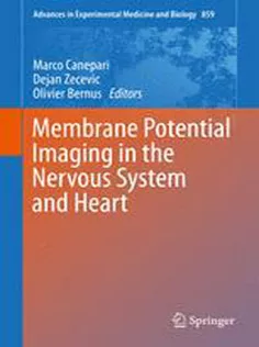 9783319176406 Membrane Potential Imaging in the Nervous System and Heart