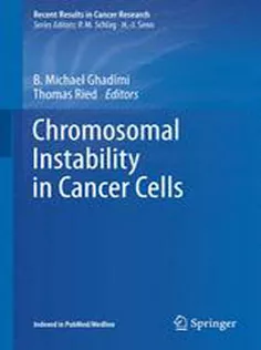 9783319202907 Chromosomal Instability in Cancer Cells