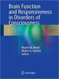 Brain Function and Responsiveness in Disorders of Consciousness