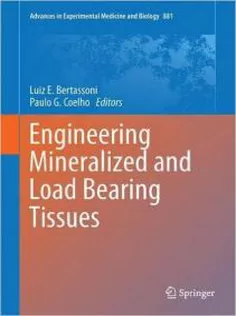 Engineering Mineralized and Load Bearing Tissues