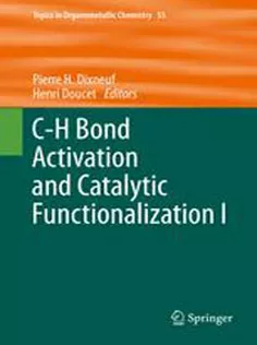 9783319246284 C-H Bond Activation and Catalytic Functionalization I