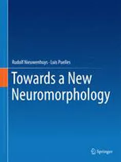 Towards A New Neuromorphology