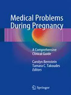 9783319393261 Medical Problems During Pregnancy
