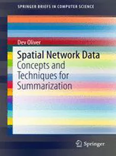 Spatial Network Data: Concepts and Techniques for Summarization
