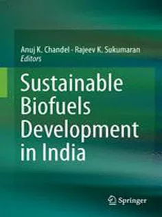 9783319502175 Sustainable Biofuels Development in India