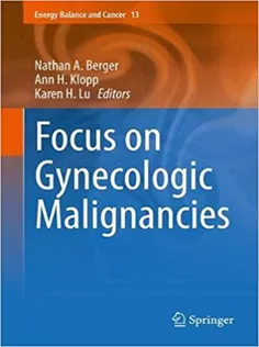 9783319634821 Focus on Gynecologic Malignancies