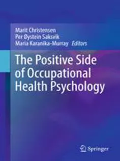 9783319667805 The Positive Side of Occupational Health Psychology