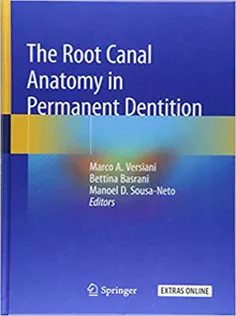 The Root Canal Anatomy in Permanent Dentition