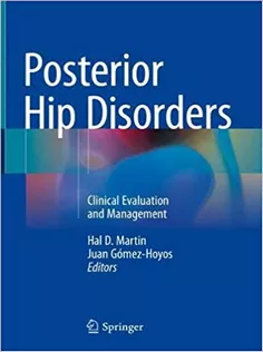 9783319780382 Posterior Hip Disorders: Clinical Evaluation and Management