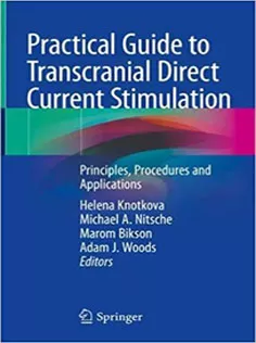 Practical Guide to Transcranial Direct Current Stimulation: Principles, Procedures and Applications