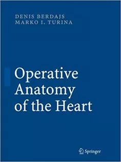 Operative Anatomy Of The Heart