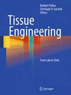 Tissue Engineering :From Lab to Clinic