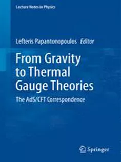 From Gravity to Thermal Gauge Theories: The AdS/CFT Correspondence: The AdS/CFT Correspondence