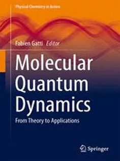 9783642452895 Molecular Quantum Dynamics: From Theory to Applications