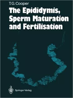 The Epididymis, Sperm Maturation and Fertilisation