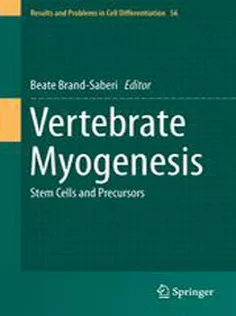 9783662446072 Vertebrate Myogenesis: Stem Cells and Precursors