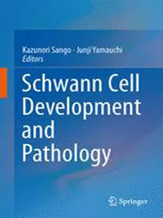 Schwann Cell Development and Pathology