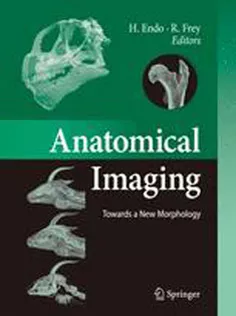 Anatomical Imaging: Towards A New Morphology