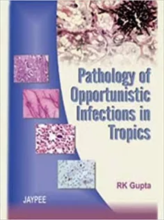 Essentials of Operative Dentistry