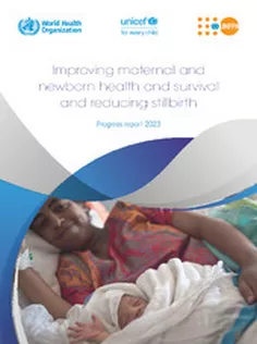 Improving Maternal and Newborn Health and Survival and Reducing Stillbirth