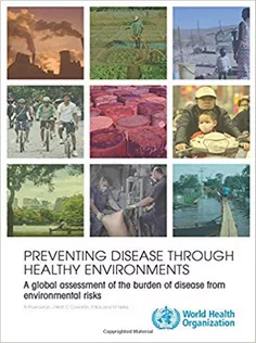 Preventing Disease Through Healthy Environments: A Global Assessment of the Burden of Disease from Environmental Risks