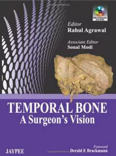 Temporal Bone: A Surgeon's Vision