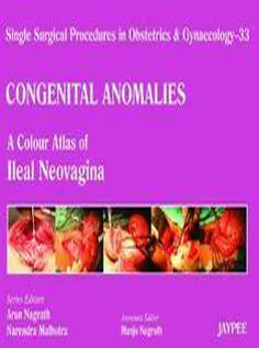 Vaginoplasty: A Colour Atlas of Ileal Neovagina-Single Surgical Procedures in Obstetrics and Gynaecology
