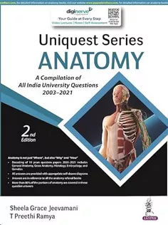 Uniquest Series Anatomy
