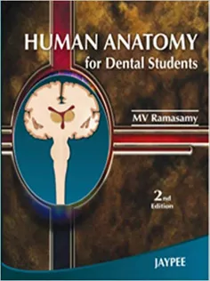 Human Anatomy for Dental Students